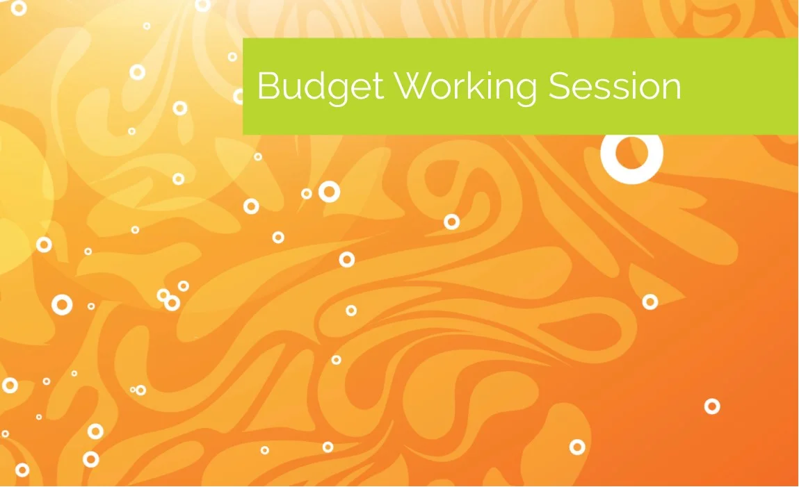 BudgetWorkingSession.png