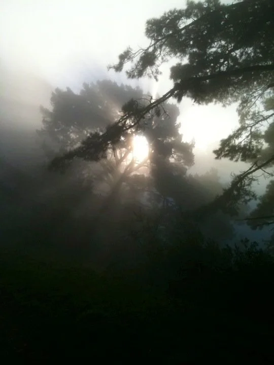 mist.JPG