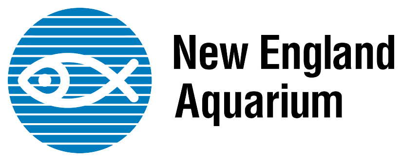 NEAq-Logo.png