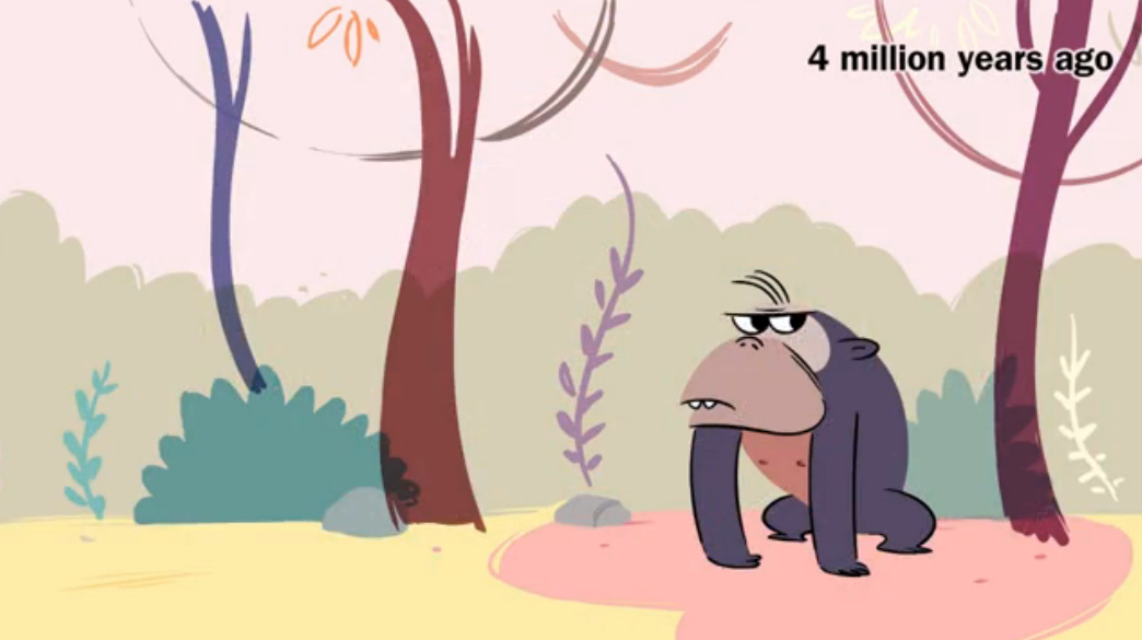 EvolutionHealth12.png
