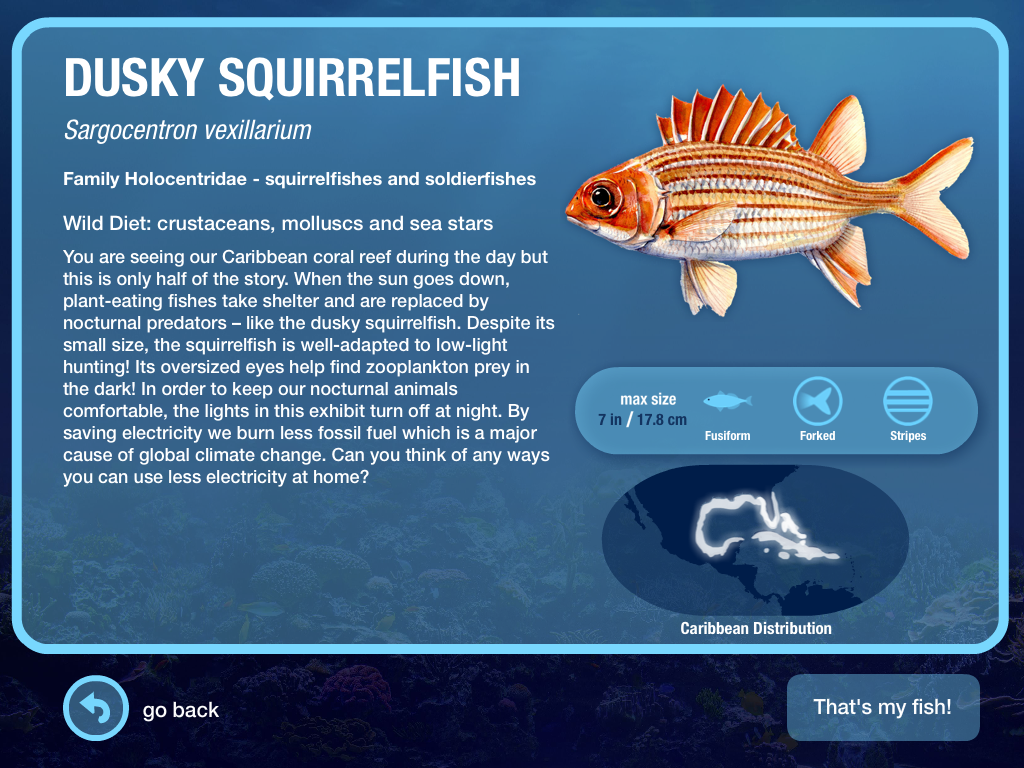 NEAq 2.png
