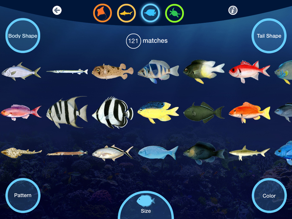Tropical Fish Identification