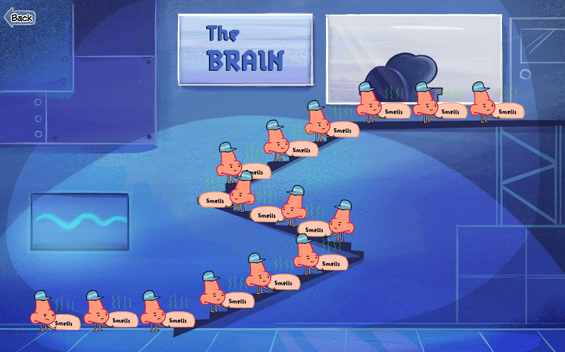Senses 5.png