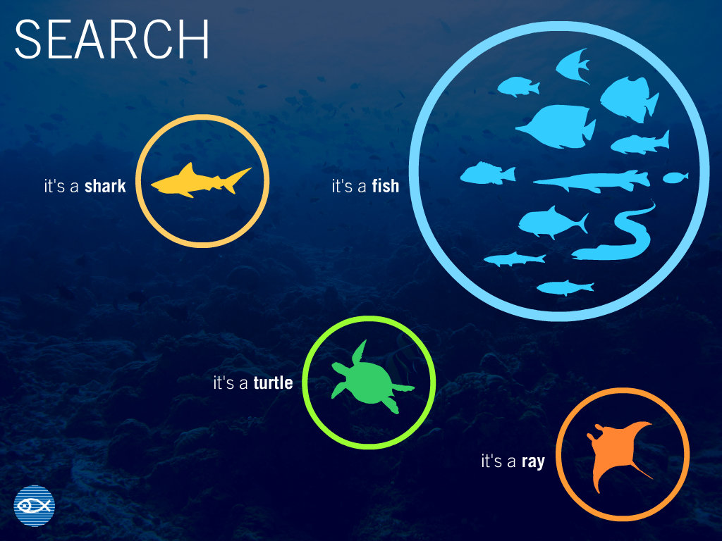 NEAQ_Design_Board_E_2013_03_08.jpg
