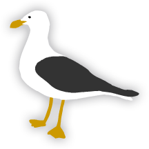Seagull art by Taryn Johnson