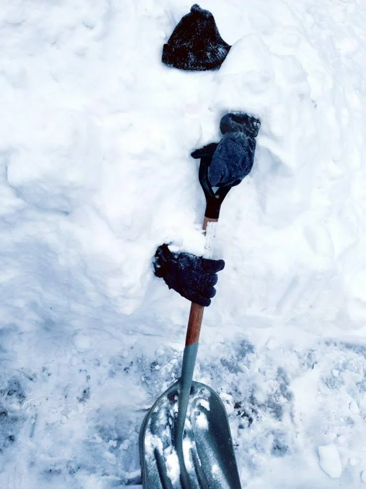 brian snow.jpg