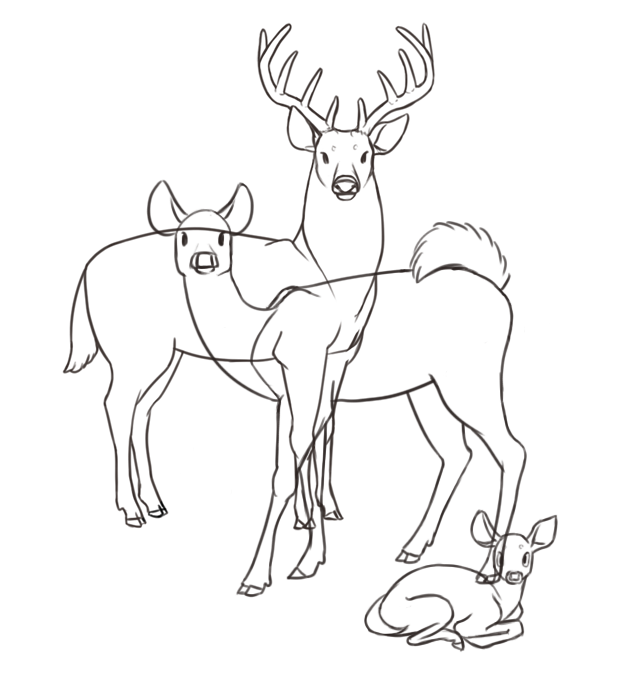 deer lines.png