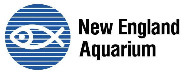 neaqlogo.jpg