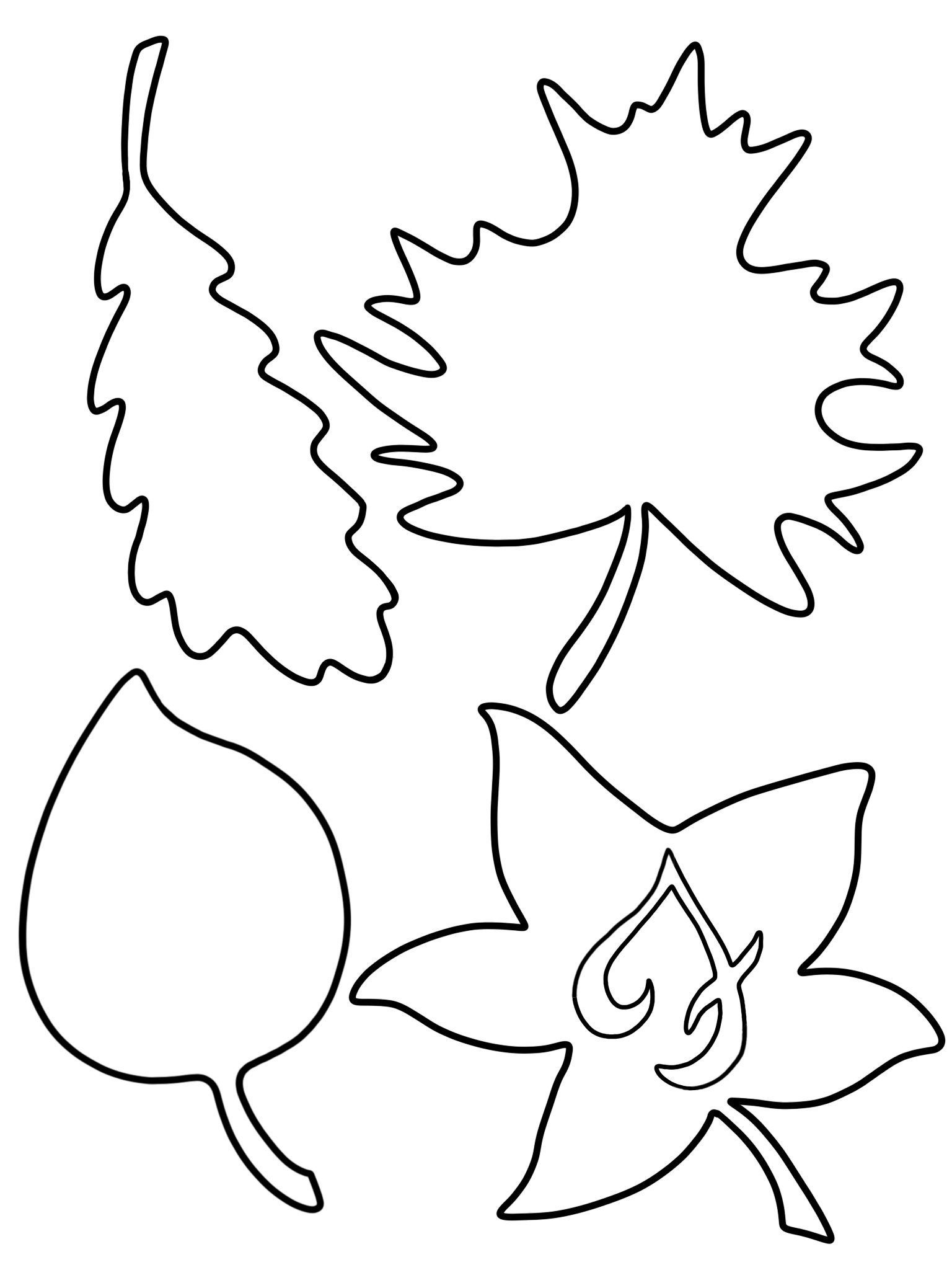 Right click to download and save FableVision’s leaf cutout template!