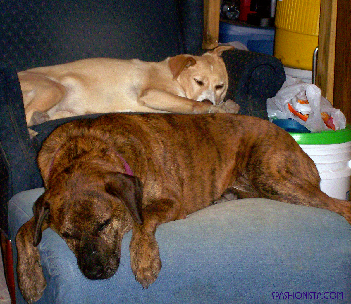 Sasha and Jack just after the Nashville 2010 Flood