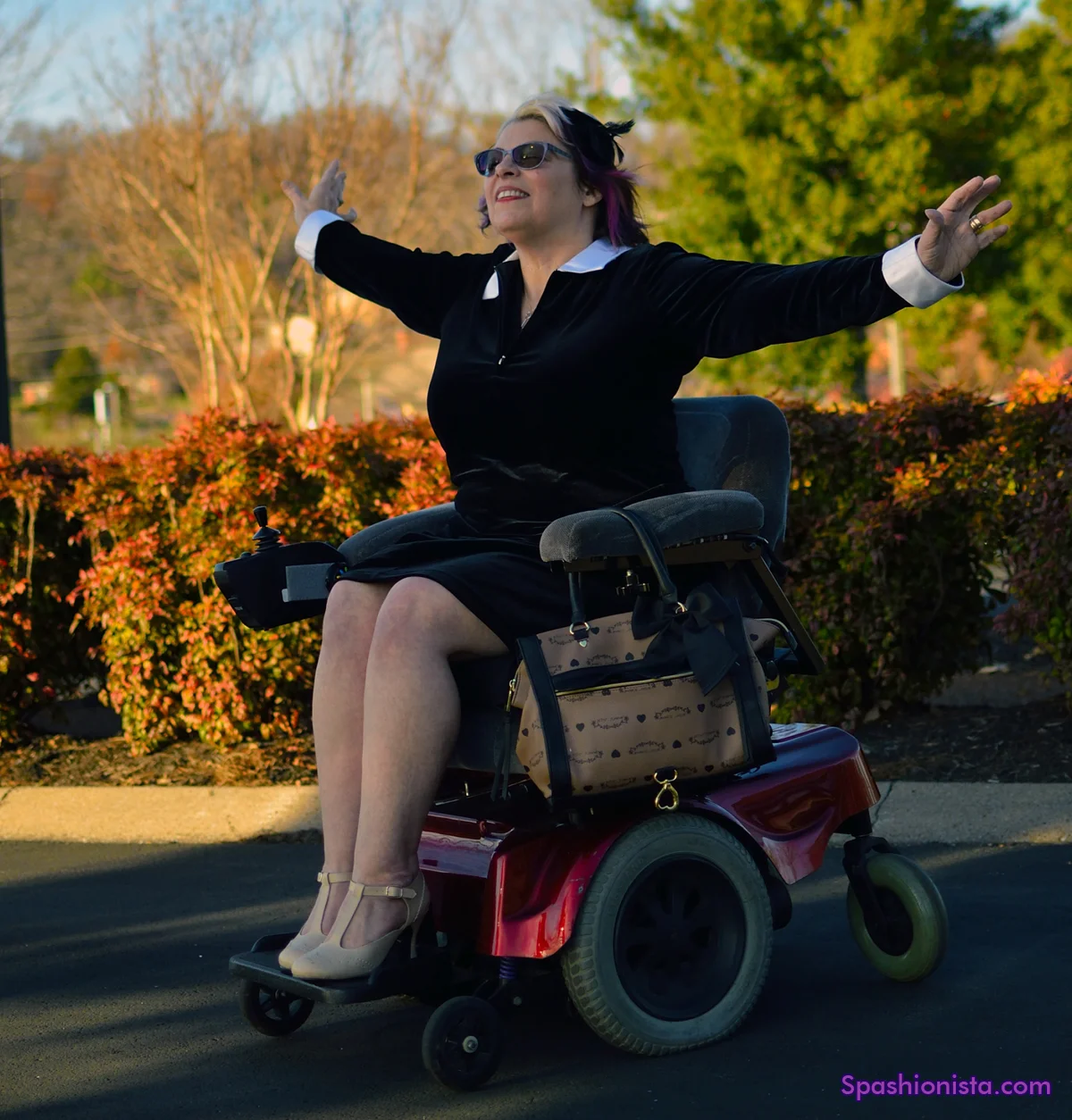 A Pilgrim's Progress