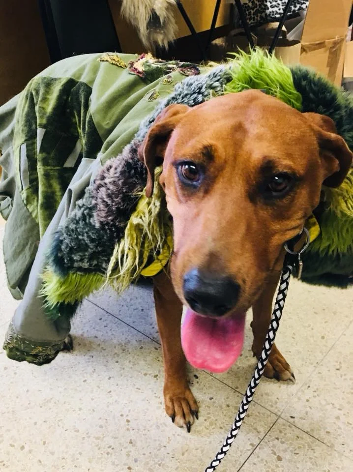 Penny Lane wearing Lily Guilder designer Caitlin Stolley's coat.