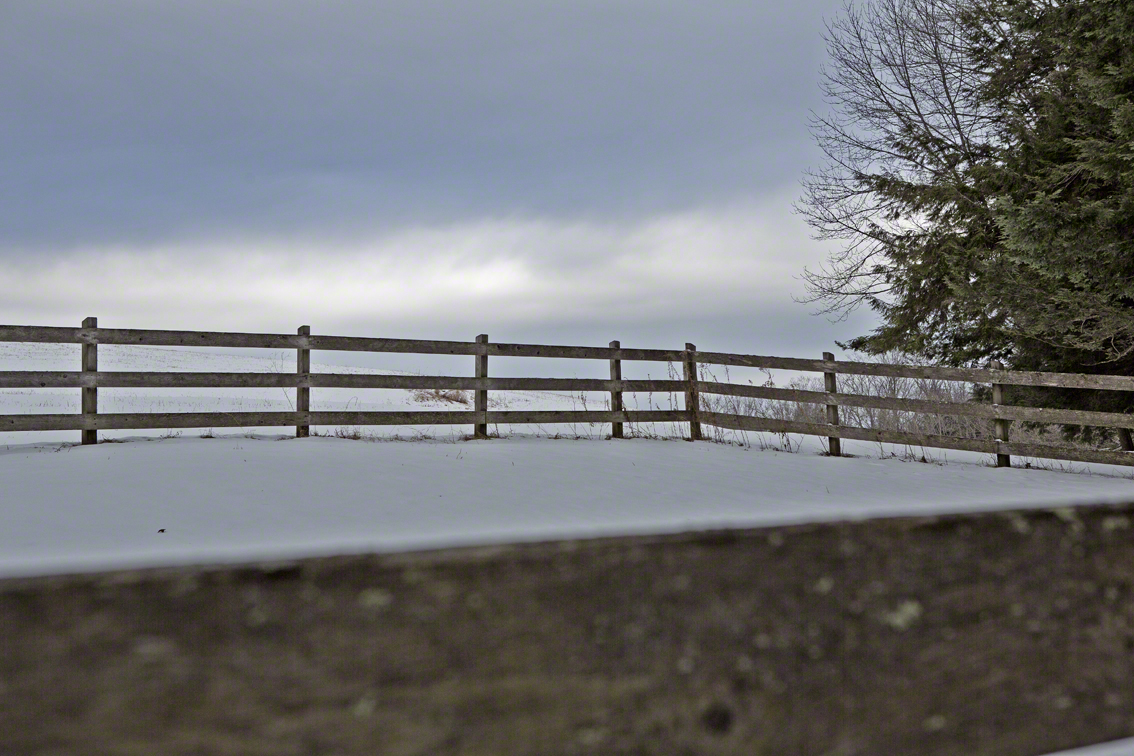 a corral along the hike up mt tom, in vt