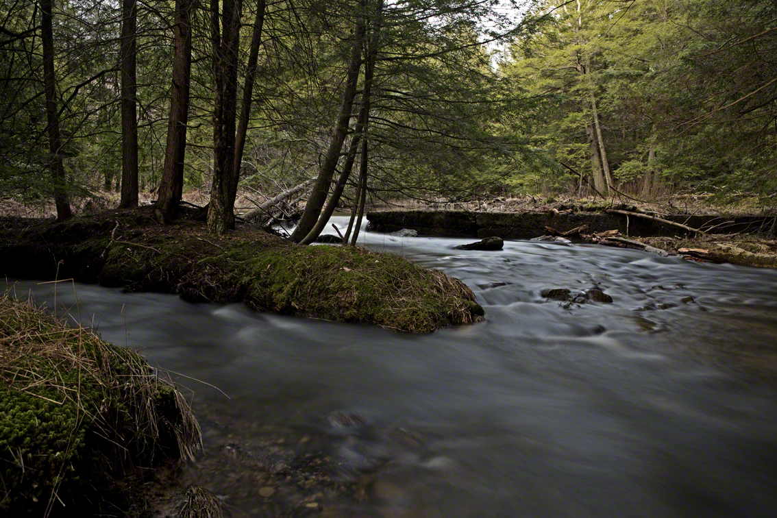 the crick