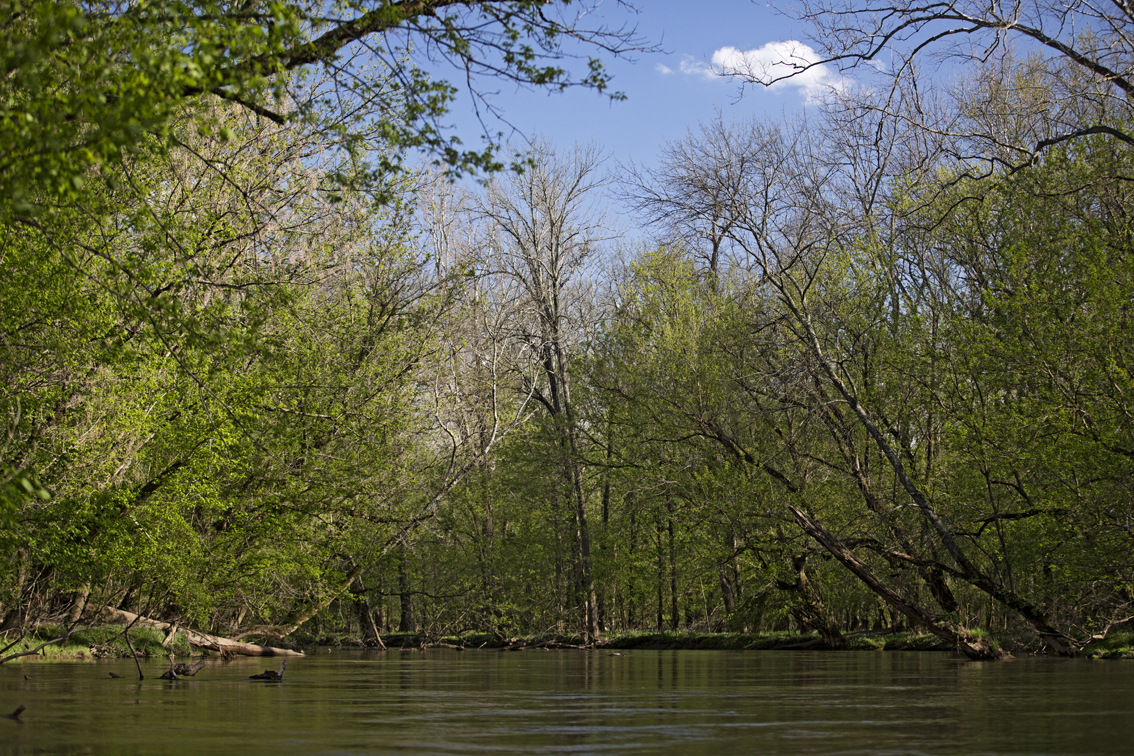 patuxent river in all of its' glory