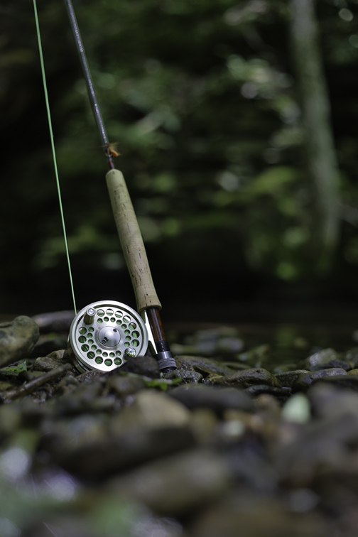 after an unsuccessful attempt to ninja fish a small stream
