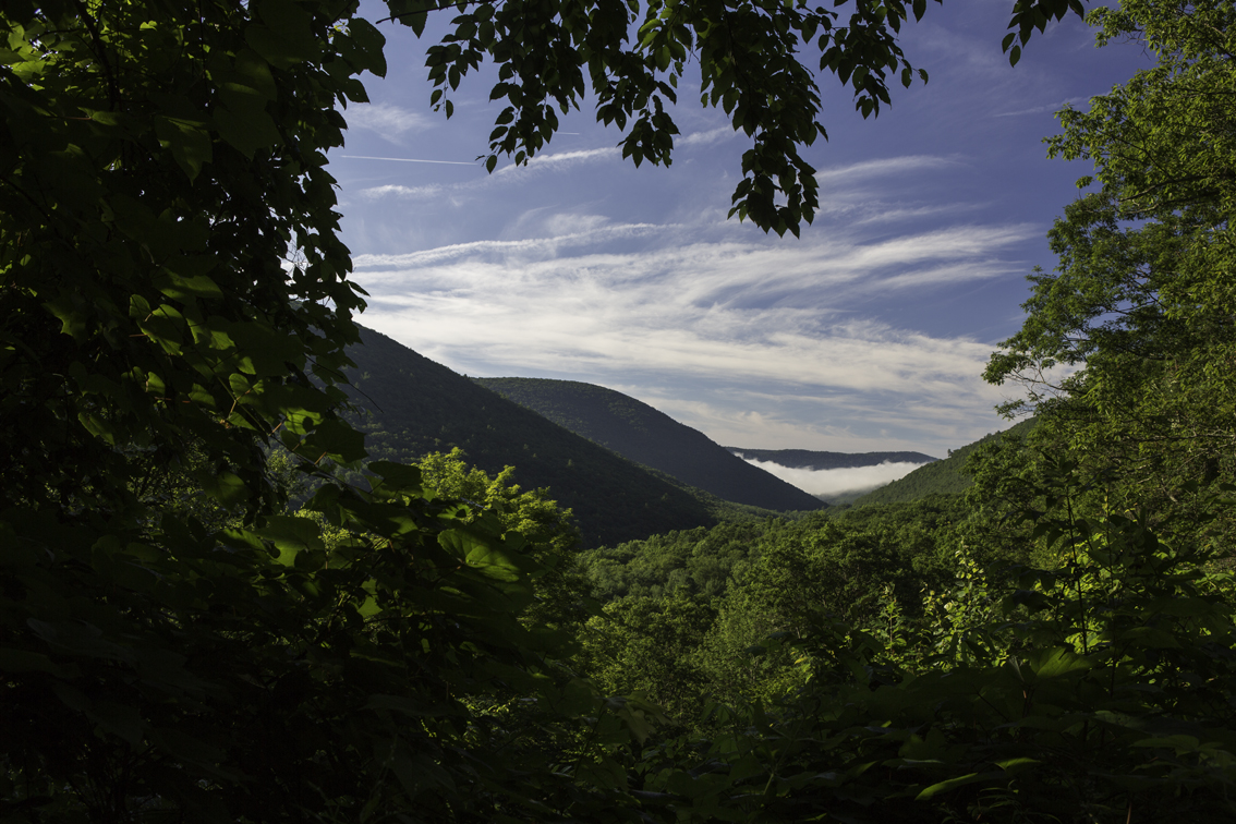 overlooking the valley created by slate run