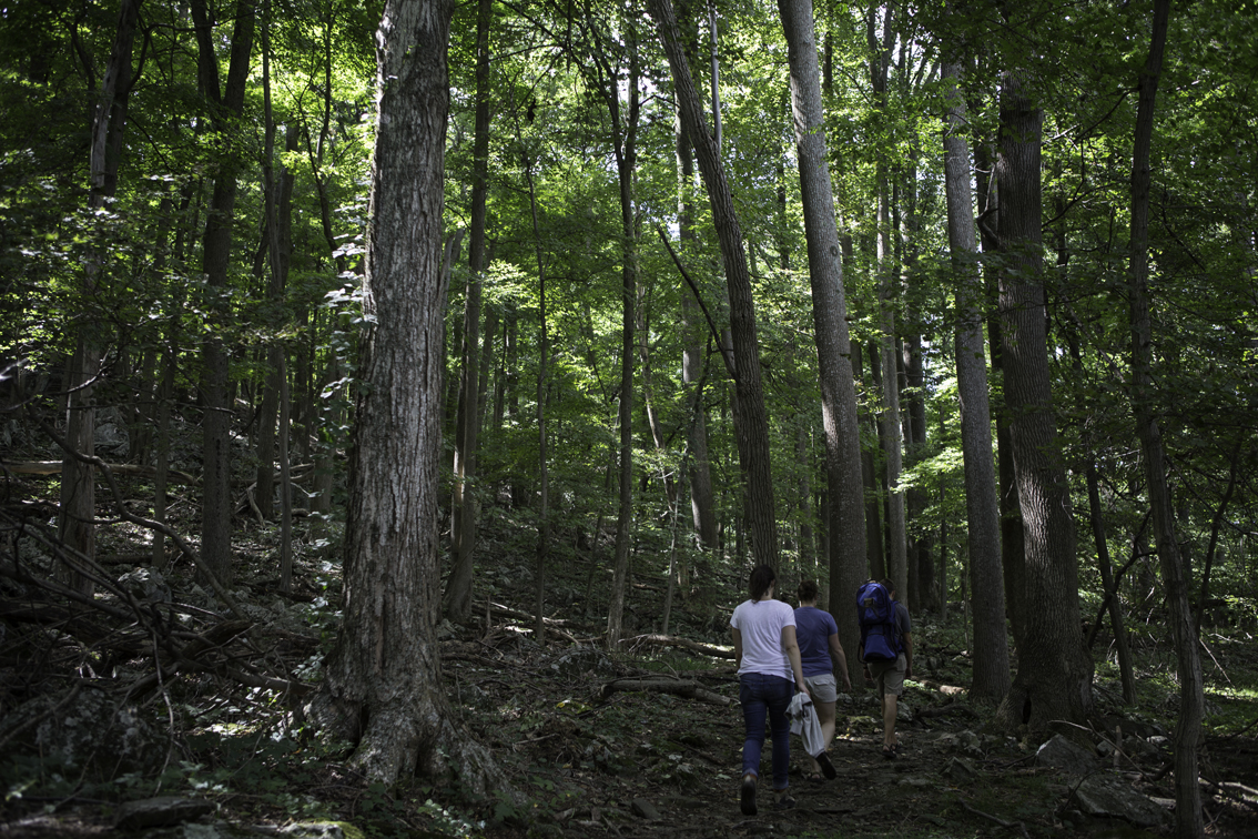 hiking catoctin