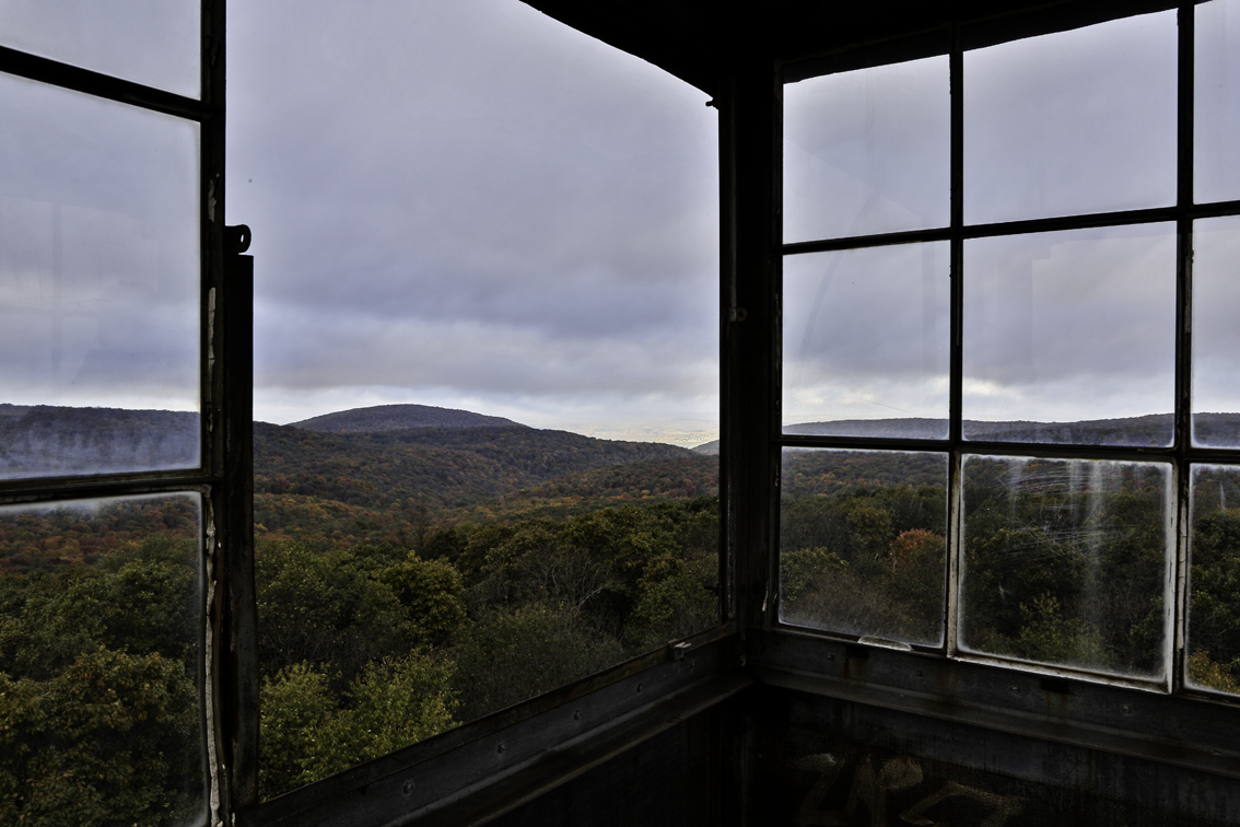 view from the fire tower