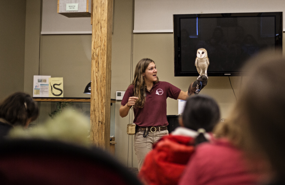 A visit to the raptor center in Quechee VT on New Years day, this is a barn owl, he was awesome.