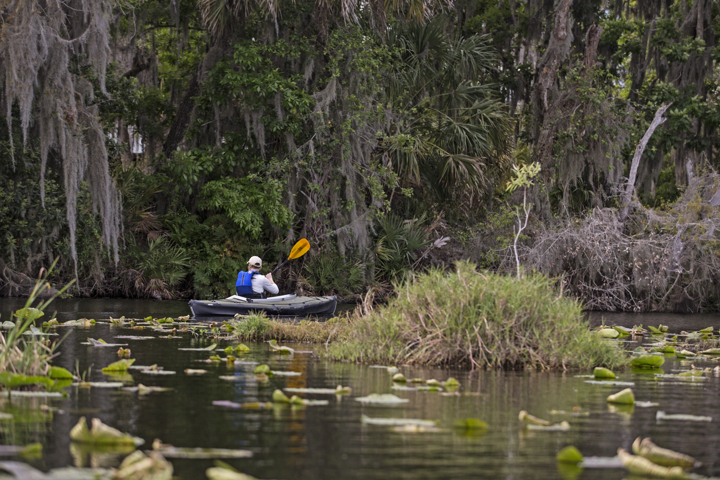 More of a swamp than a creek here.