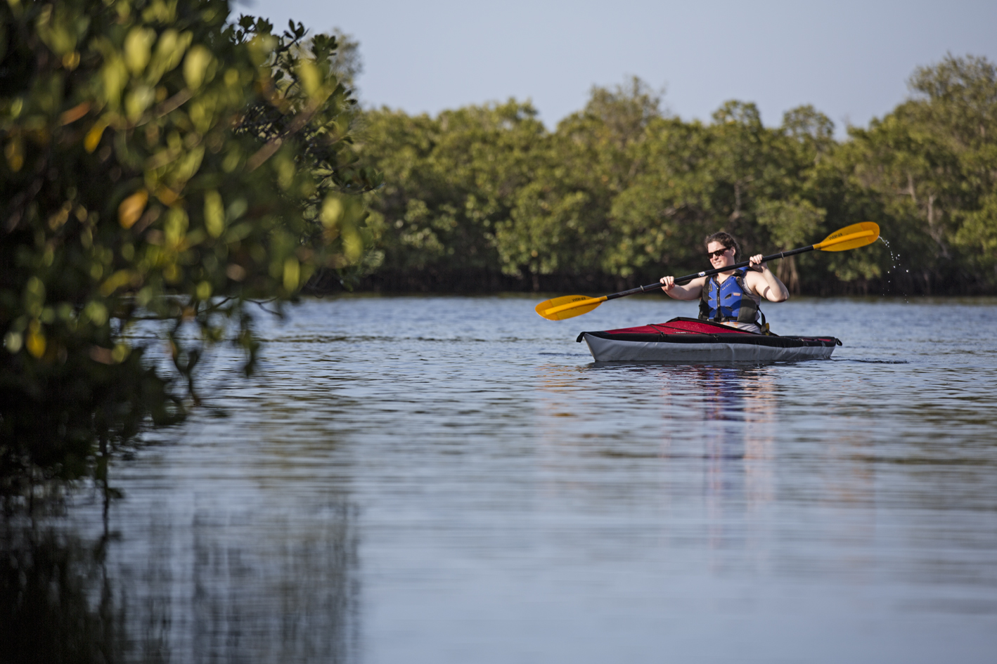 A less inhabited section of Alligator Creek.