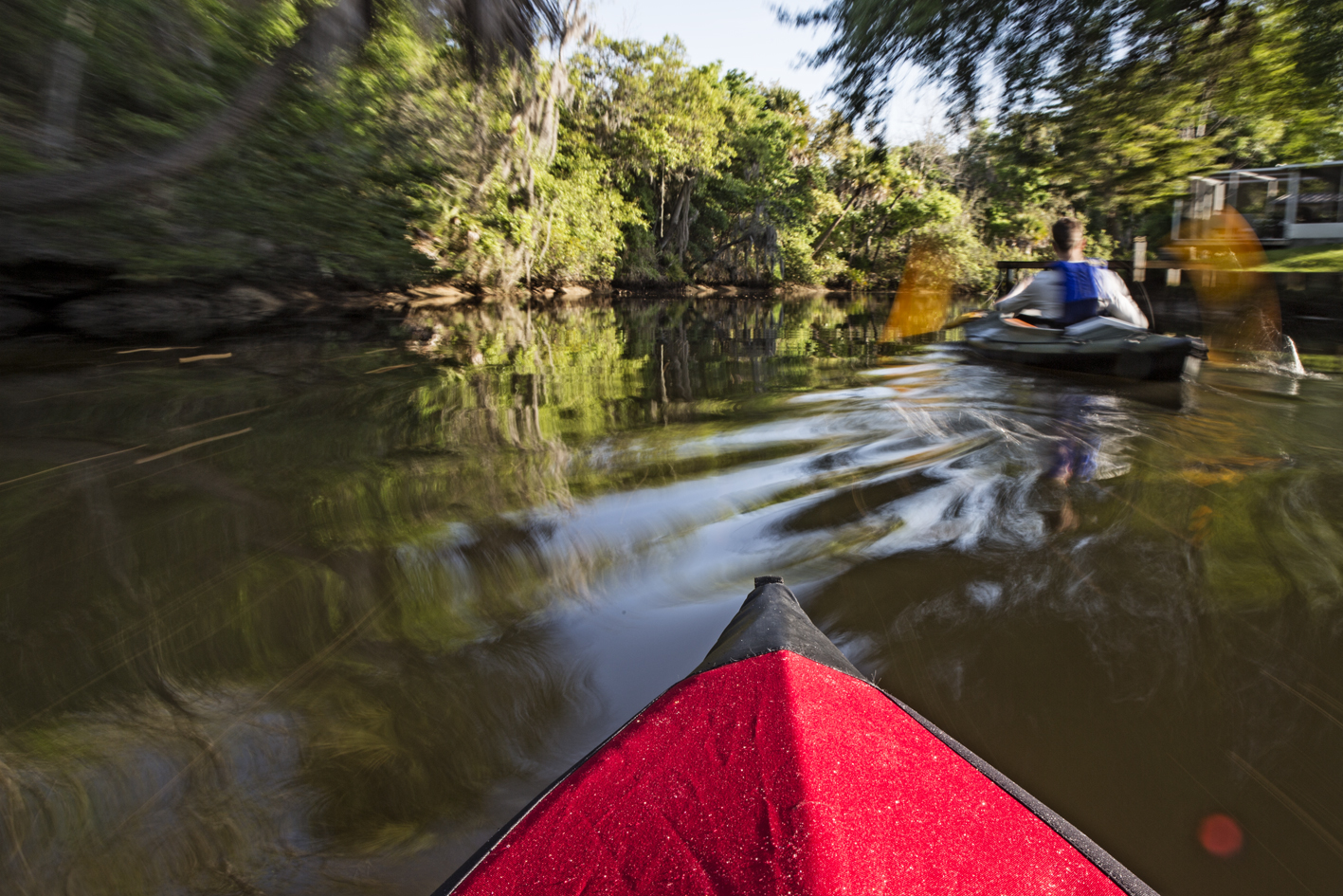 Some blurry action on Alligator Creek