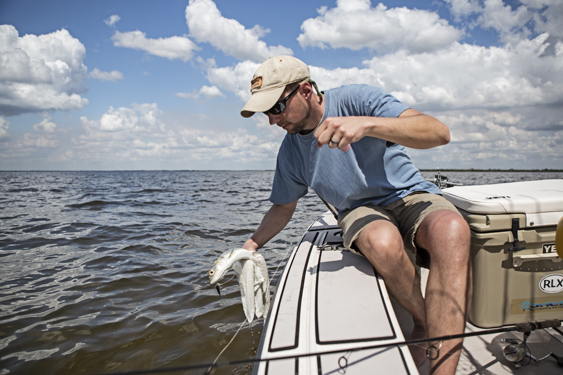 Jimbo releasing a lady fish