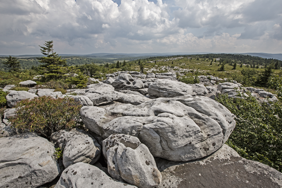 View from the rocky plateau we hiked to.