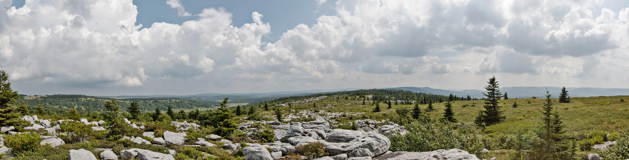 180 degree view of Dolly Sods and the Canaan Valley
