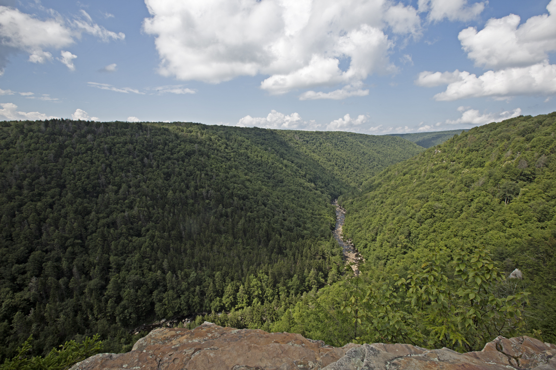The Blackwater river flowing through the canyon.