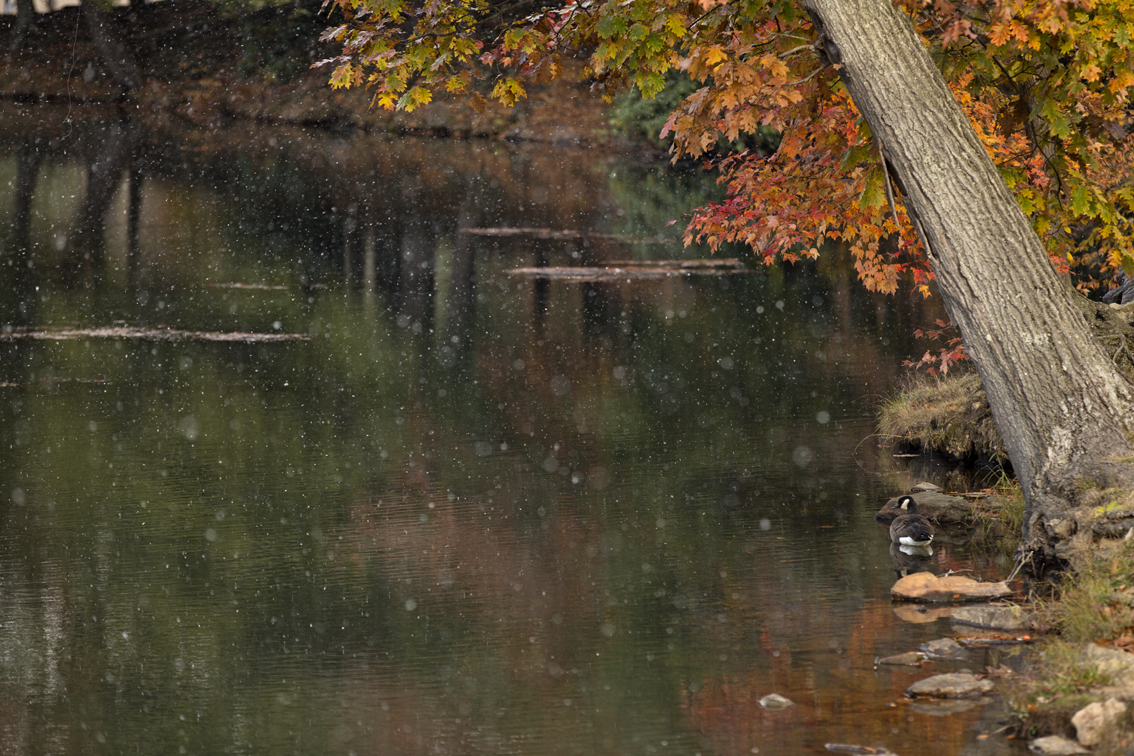 Snow and fall colors in early october at Kooser Lake state park, PA