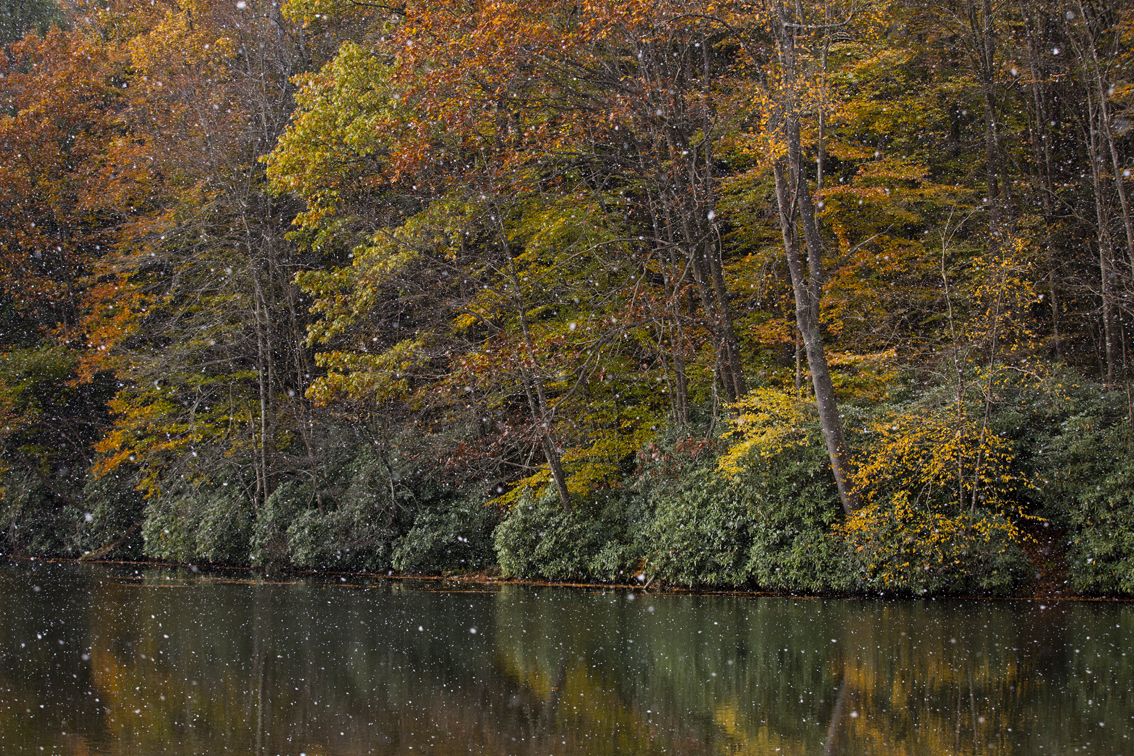 Big ol' snowflakes and fall colors at Kooser Lake.