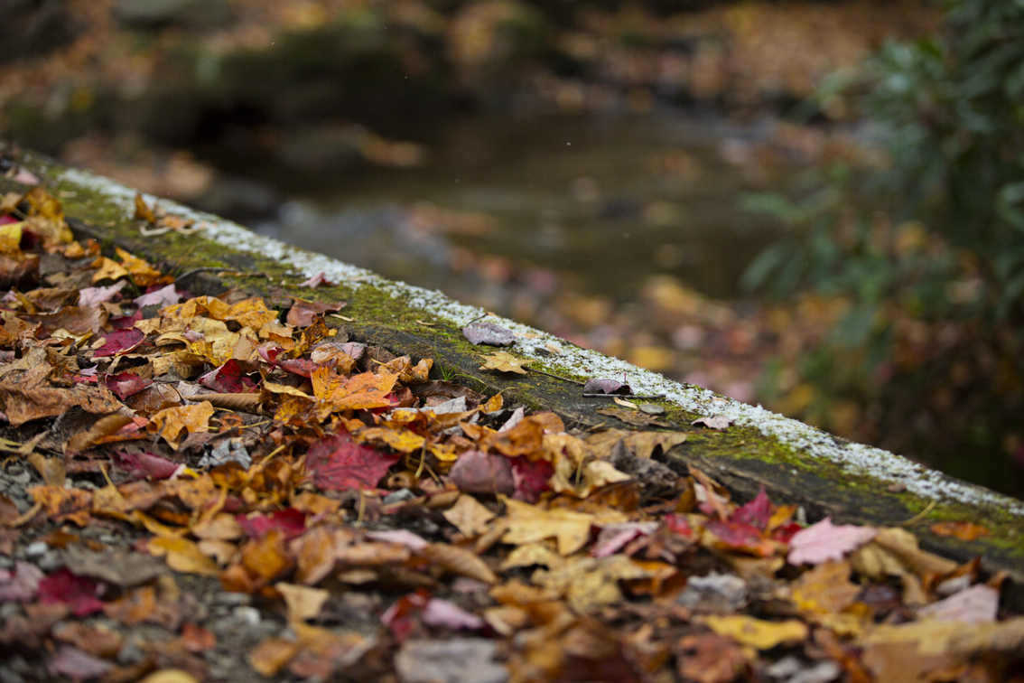 The foot bridge over Kooser Run, covered with freshly fallen leaves and a light dusting of snow.