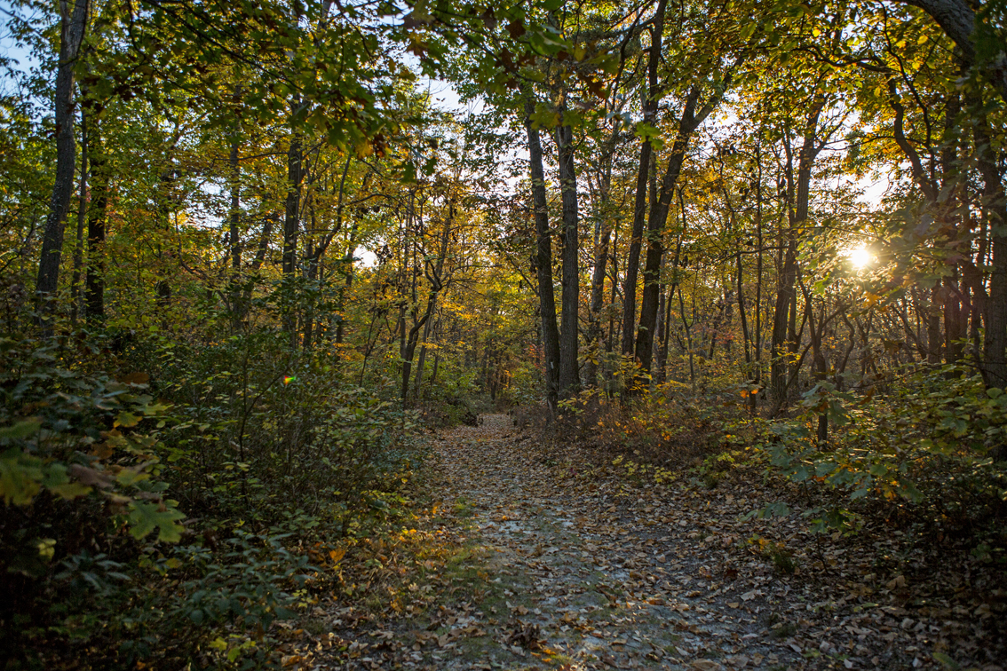 Evening hike up Evitt's mountain trail to watch the sunset.