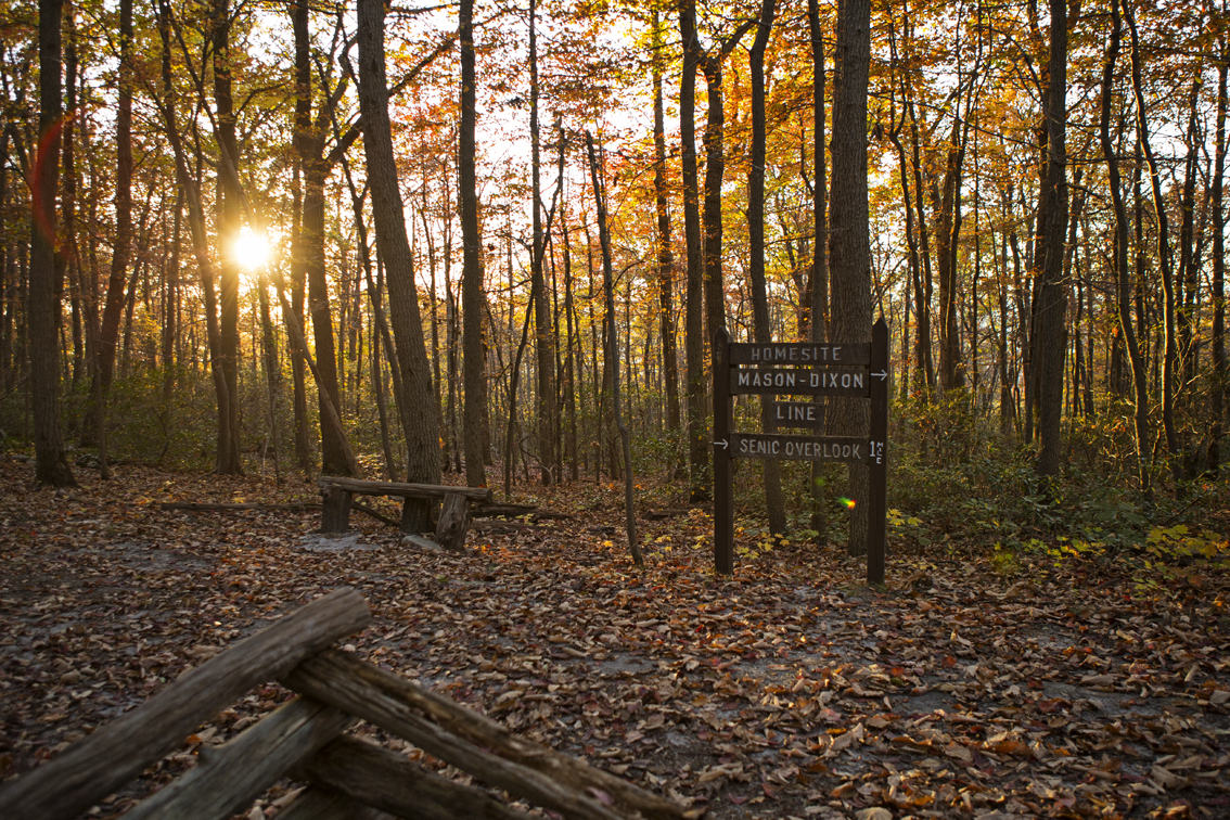 I made it to what I thought would be the overlook to find it was actually another 1.2 miles up the mountain - and that someone at the park service forgot to spell check... So I sucked it up and hiked the last mile quickly to get to my dinner spot before the sun went down.