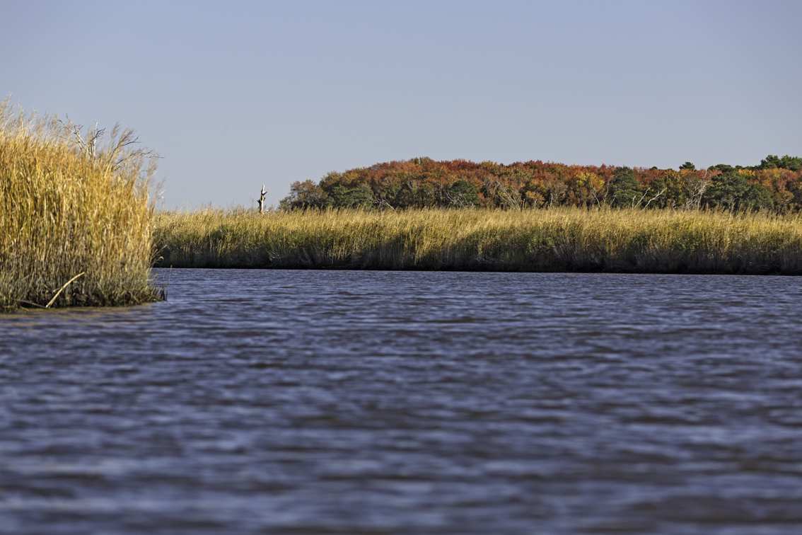 Fall colors on the eastern shore of MD.