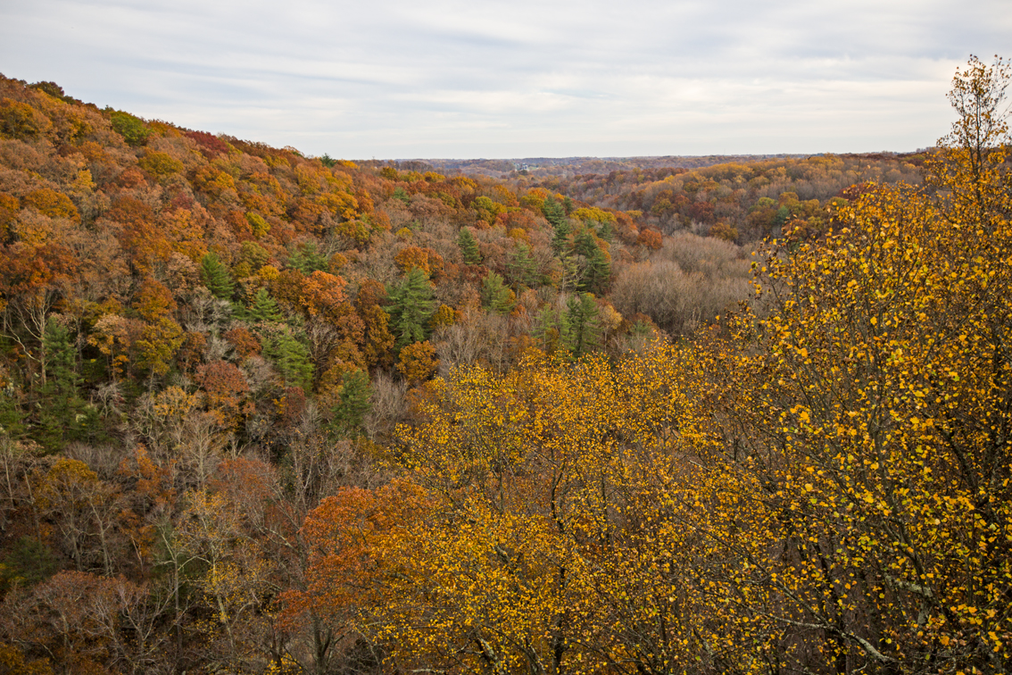A great view from the top of Queen and King seat in Rocks State Park.