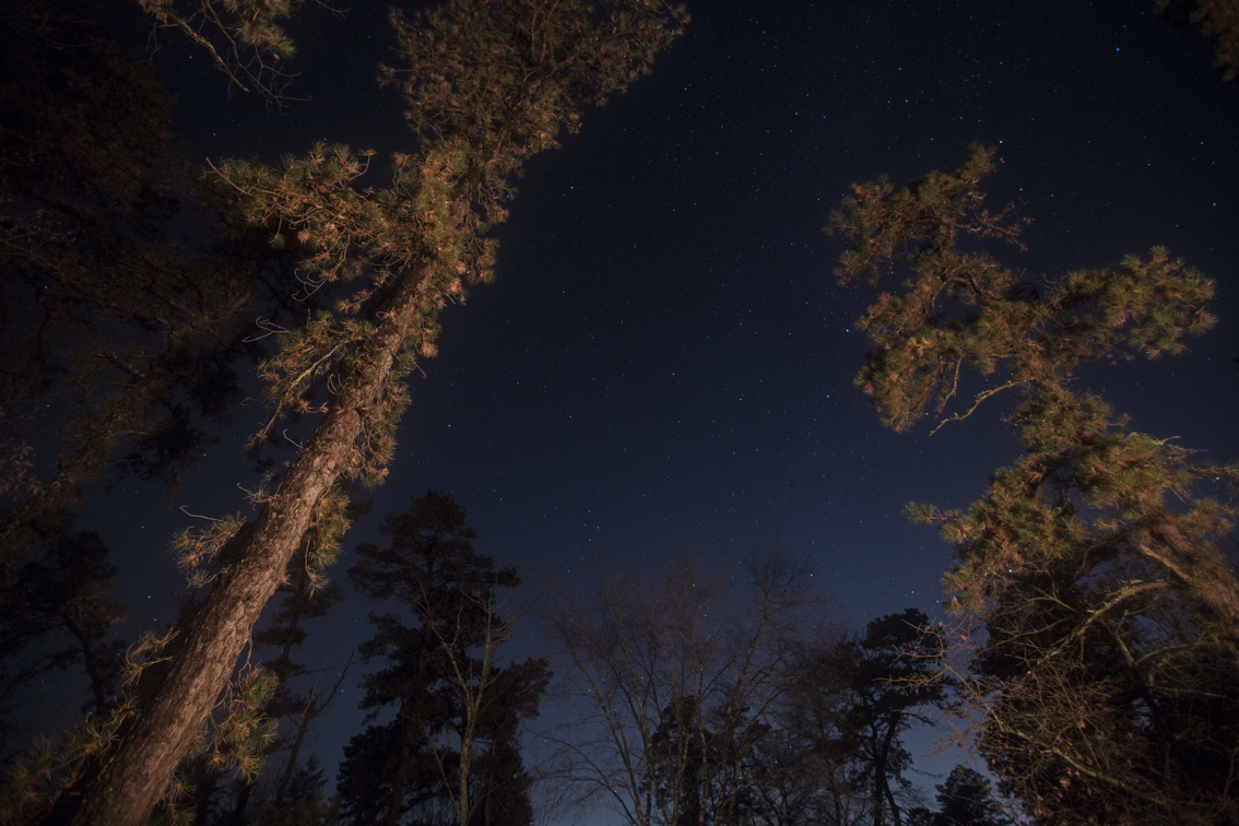 Stars and pines around the fire at Goshen Pond.