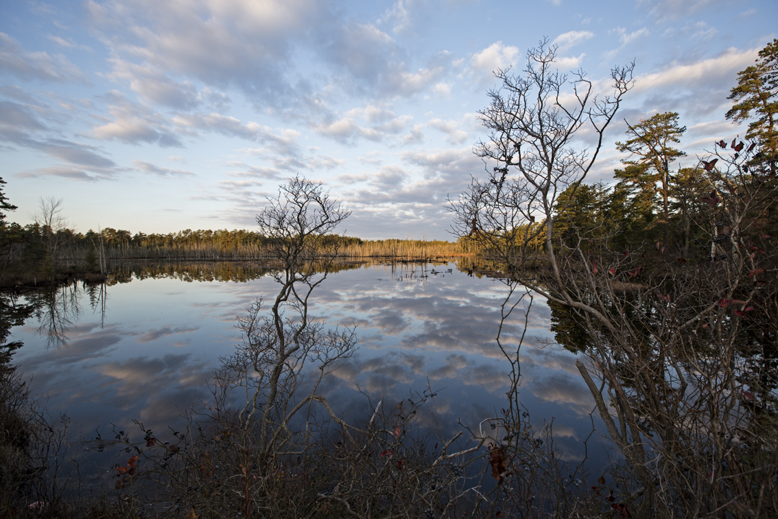 First light at Goshen Pond, after a calm evening in the pines.