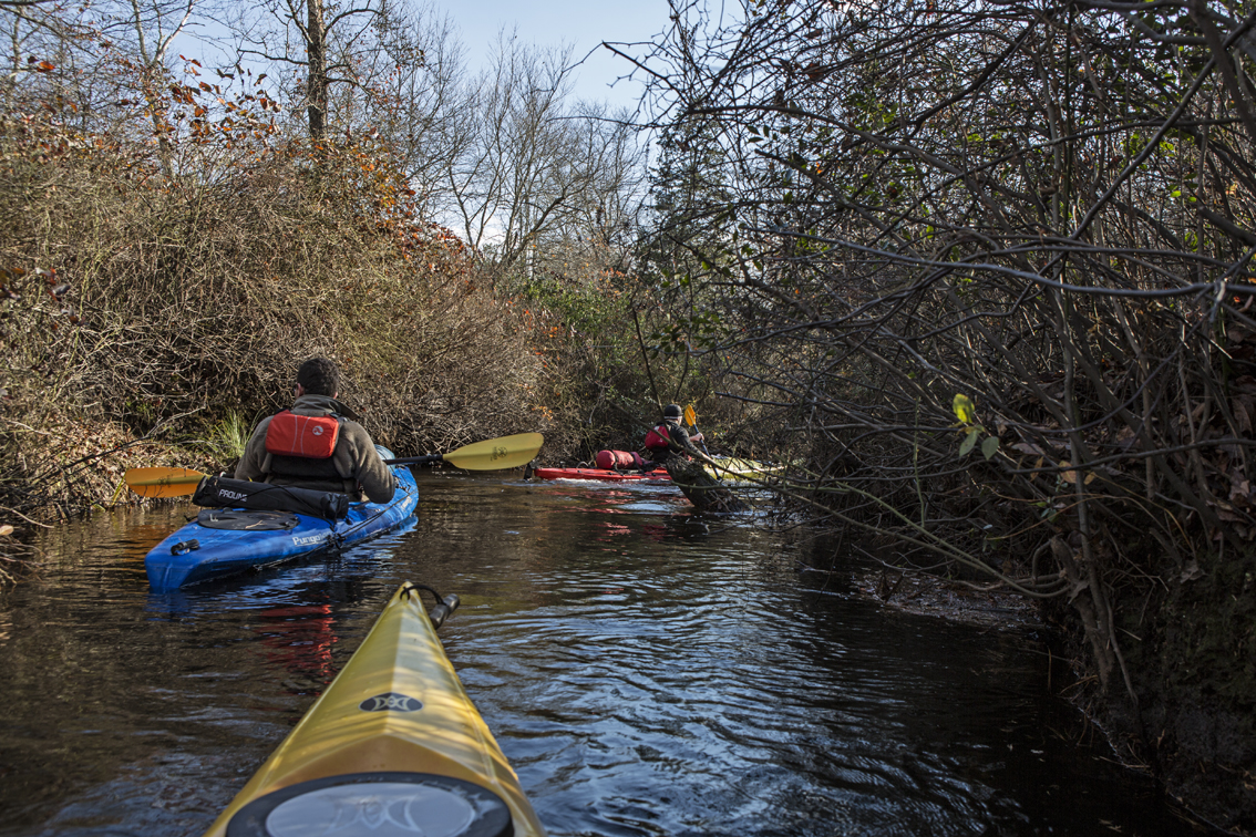 The first 2 miles of the Batsto River consisted of tight turns, thorn bushes and downed trees that had mostly been trimmed for boat traffic.
