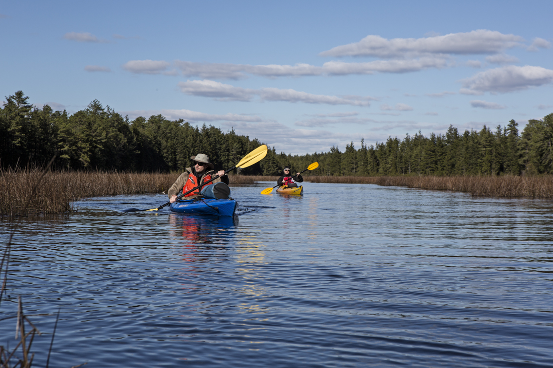 Sunshine, pines, blue sky and open waters at the top of Batsto Lake - this was by far the easiest paddling of the trip, and we soaked it in.