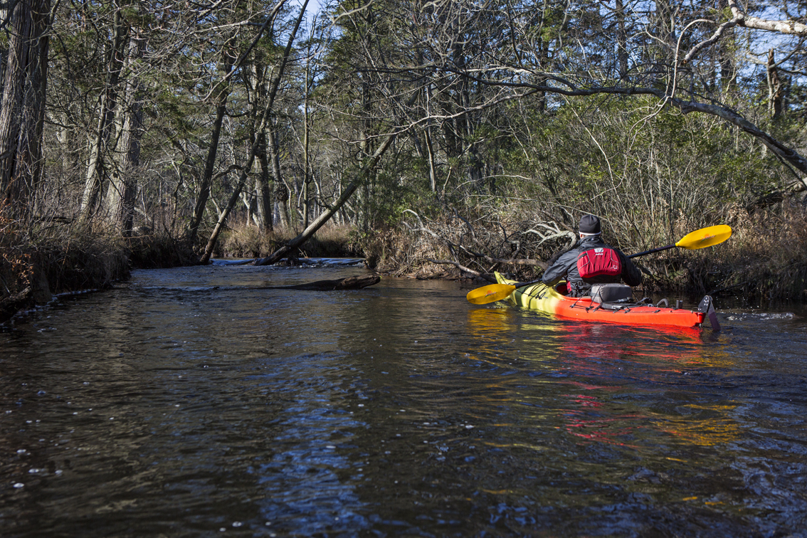 One of the many small beaver dams on the Mullica that Loren was able to paddle his torpedo of a kayak over. Frank and I portaged this one, and a few others.