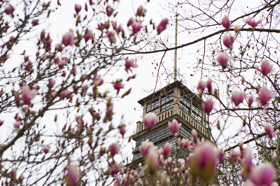 The viewing tower of Batsto Mansion.