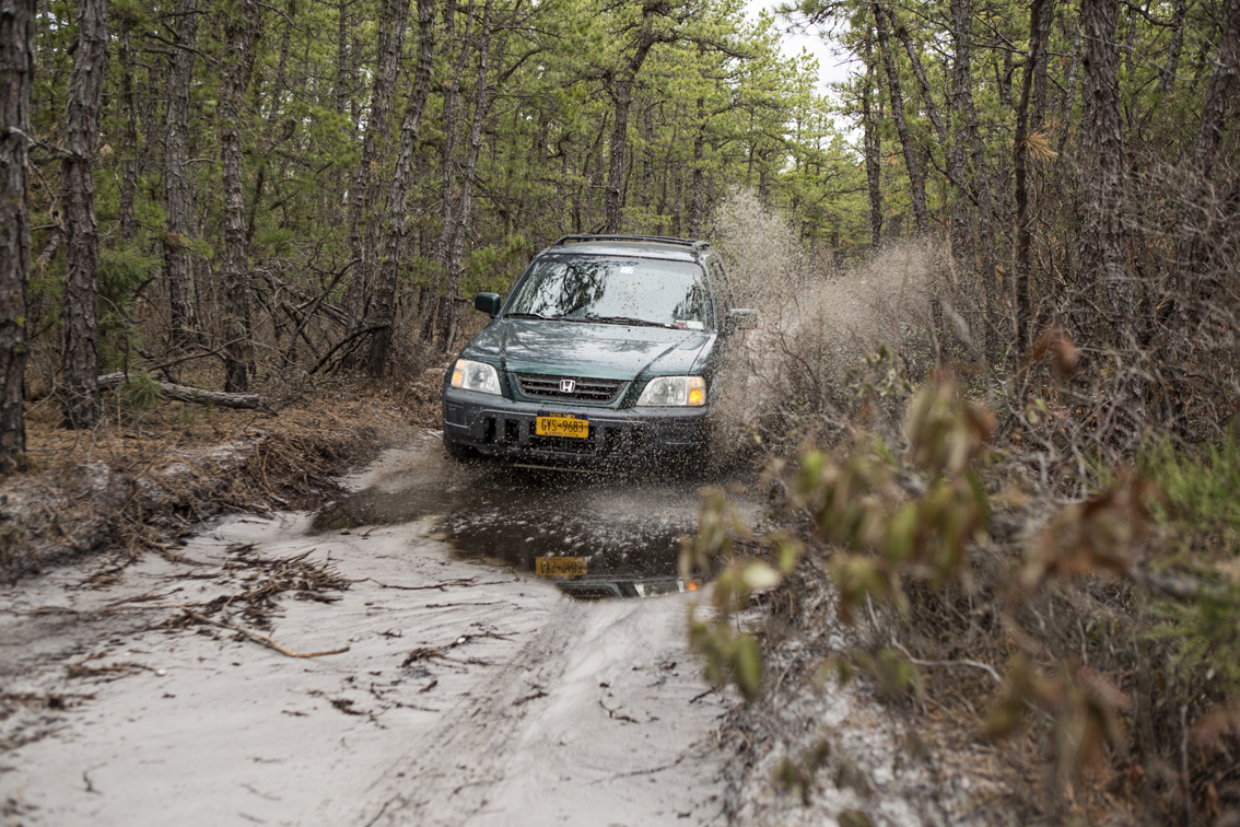 More mud puddles in the Pine Barrens.
