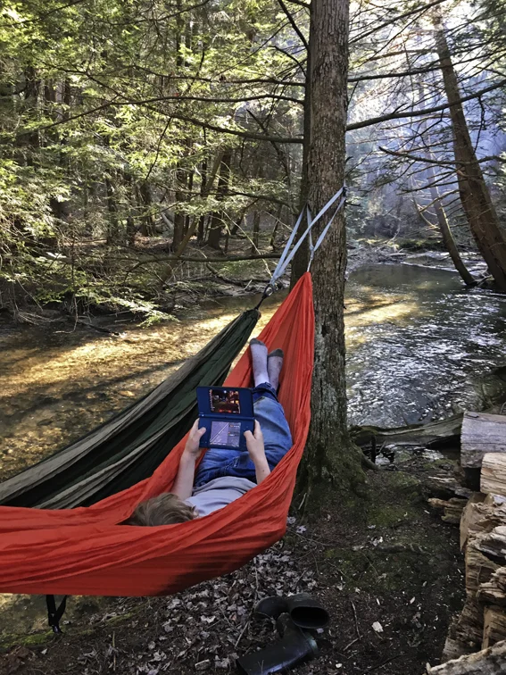 Who needs nature when you have video games.