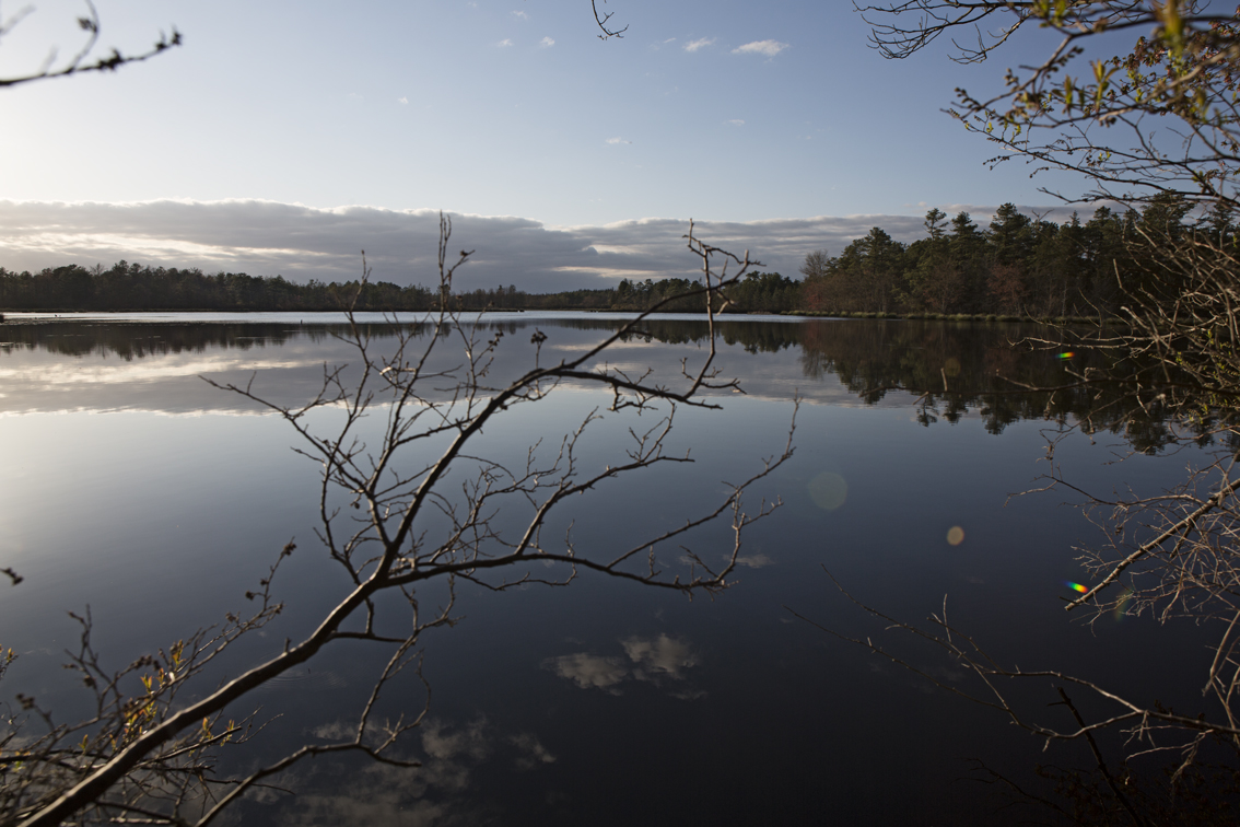 Hiking along the BATONA (Back to Nature) trail in New Jersey Pine Barrens - this place is amazing.