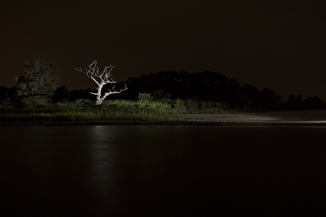 A skeleton tree near the house, on a late night kayak venture.