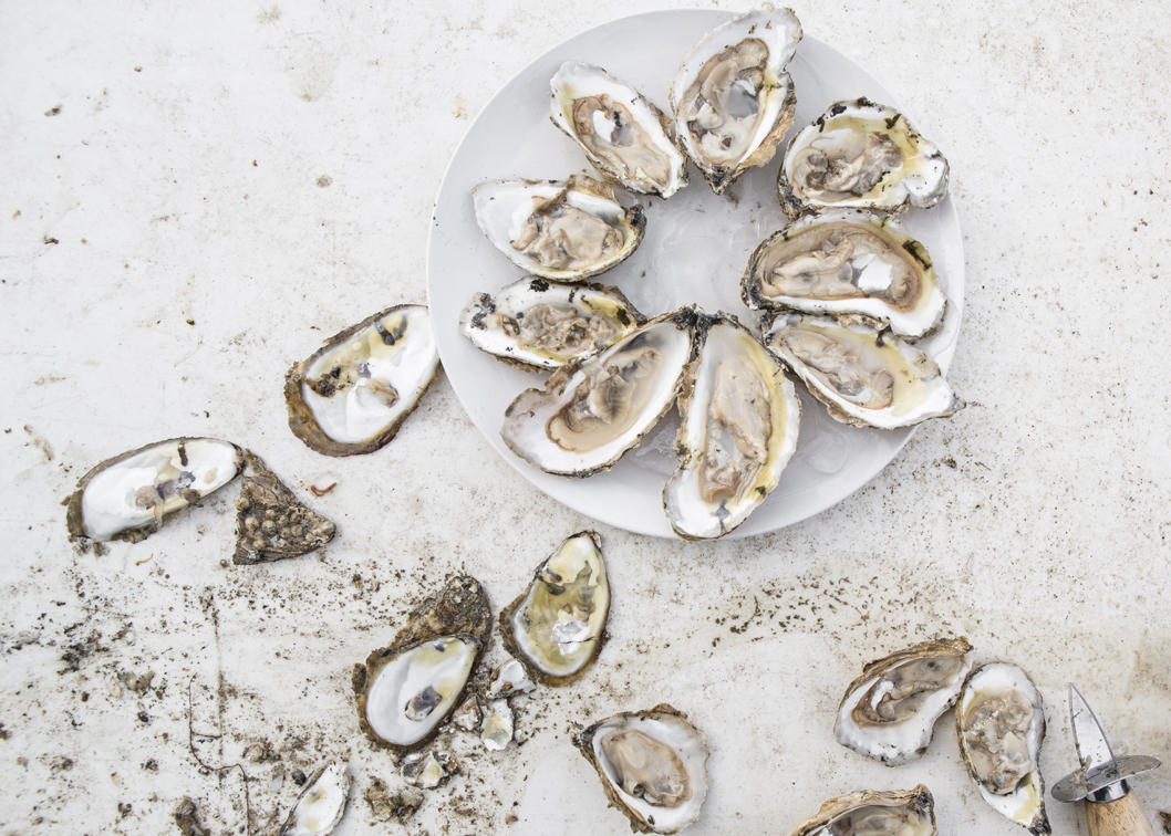 My first take at oyster shucking in quite a while, I forgot the clean the shells.....