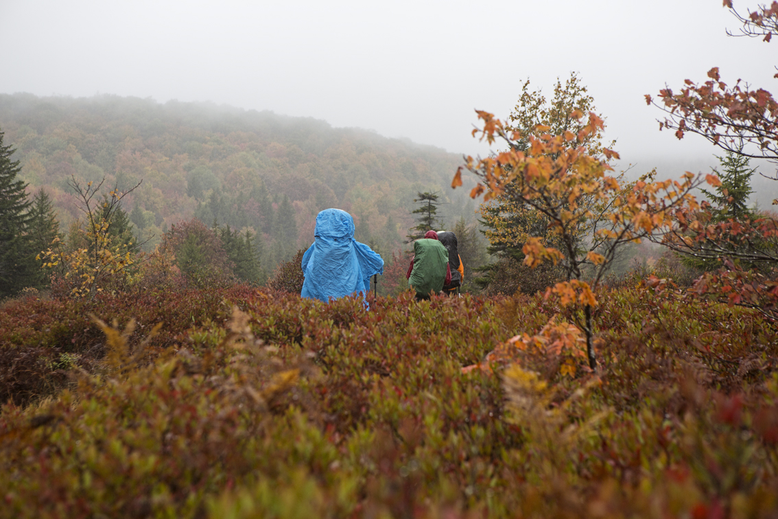 Heading into the Dolly Sods, wet and wild.